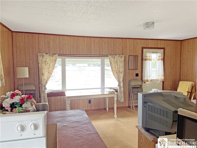 bedroom featuring wood walls and carpet