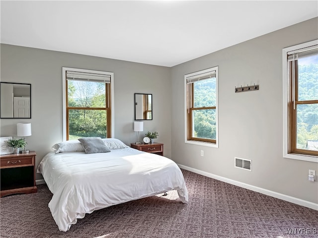 bedroom featuring multiple windows and dark colored carpet