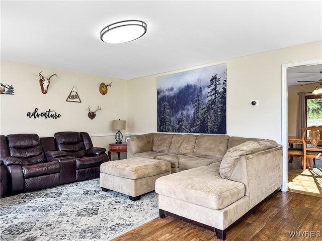 living room featuring ceiling fan and dark hardwood / wood-style floors