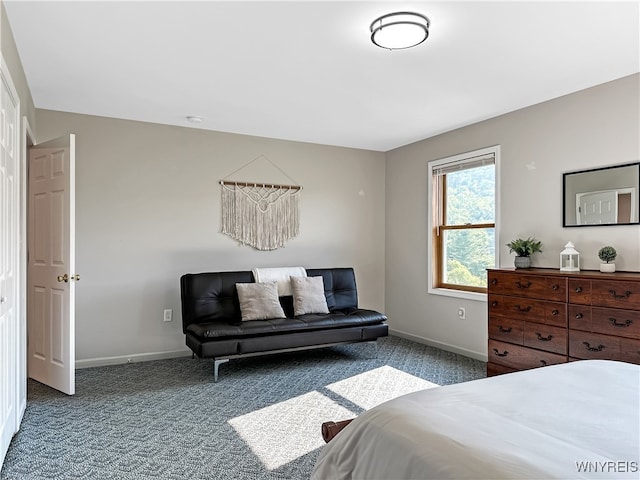 bedroom featuring carpet floors