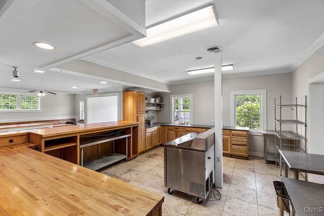 kitchen featuring a healthy amount of sunlight, kitchen peninsula, ornamental molding, and ceiling fan