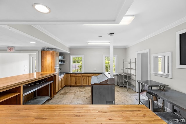 kitchen featuring ornamental molding and sink