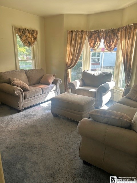 carpeted living room with a healthy amount of sunlight