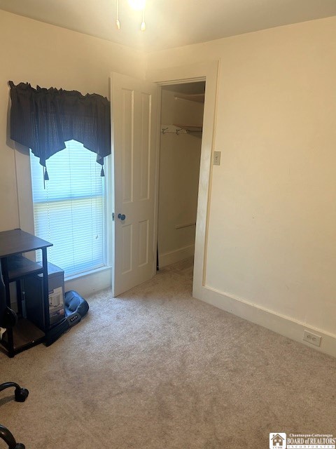 misc room with carpet