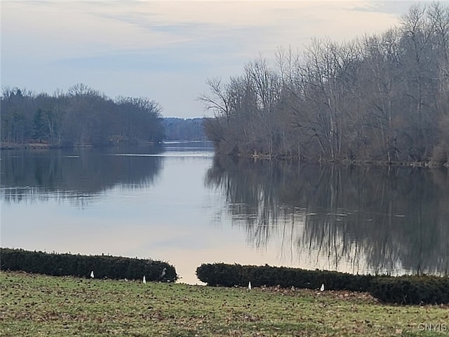 view of water feature