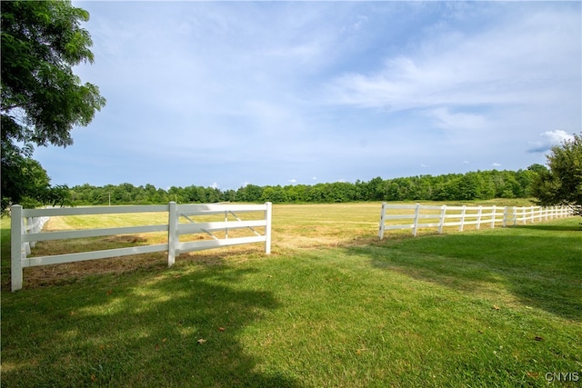 view of yard featuring a rural view