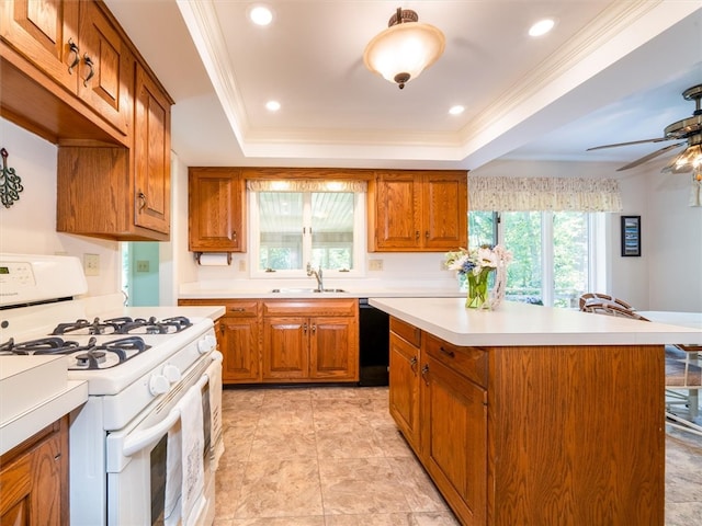 kitchen with a kitchen island, gas range gas stove, sink, and a tray ceiling