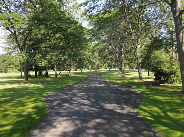 view of home's community featuring a lawn