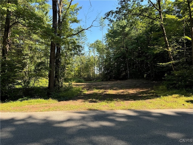 00 Oswego Rd, Vienna NY, 13308 land for sale