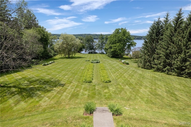 view of yard with a water view