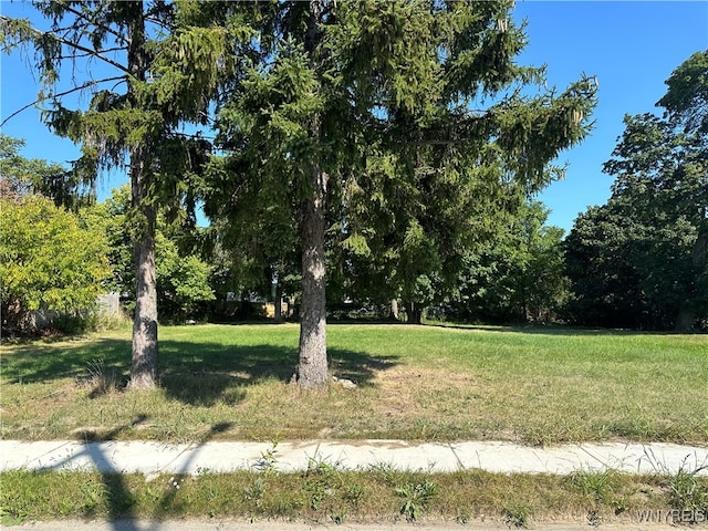 33 Sanford St, Buffalo NY, 14214 land for sale