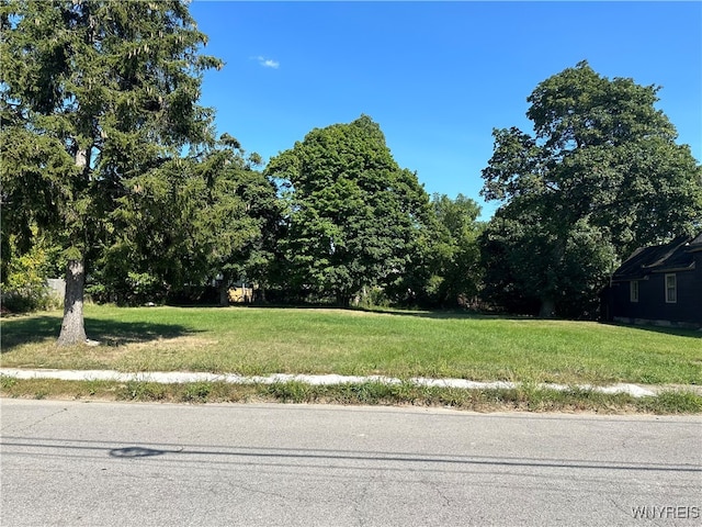 37 Sanford St, Buffalo NY, 14214 land for sale