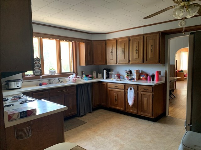 kitchen with ceiling fan, sink, refrigerator, and ornamental molding