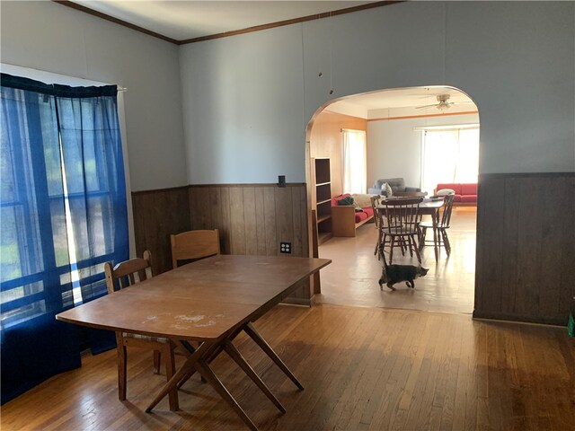 dining room with ceiling fan, wood-type flooring, and crown molding