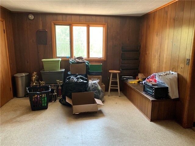 miscellaneous room with carpet and wood walls