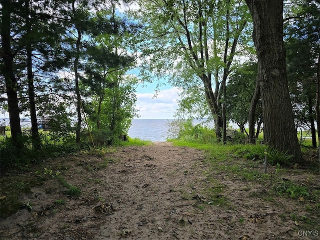 view of landscape featuring a water view