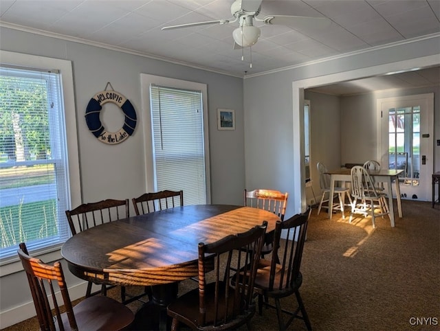 dining area featuring ceiling fan, ornamental molding, and carpet floors