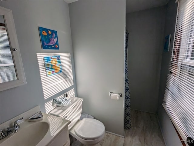 bathroom featuring vanity, toilet, and hardwood / wood-style floors