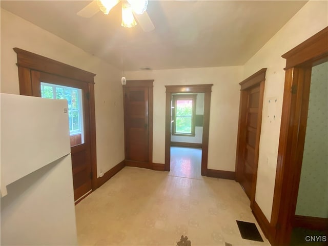 hallway with a wealth of natural light and light hardwood / wood-style flooring