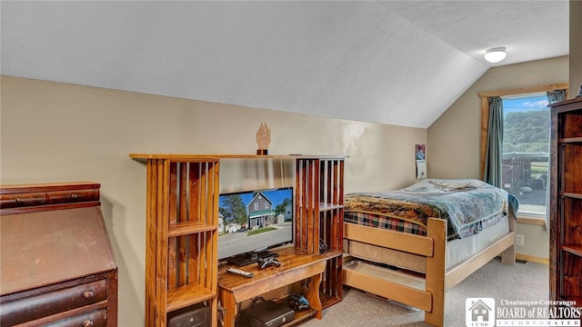 carpeted bedroom with a textured ceiling and vaulted ceiling