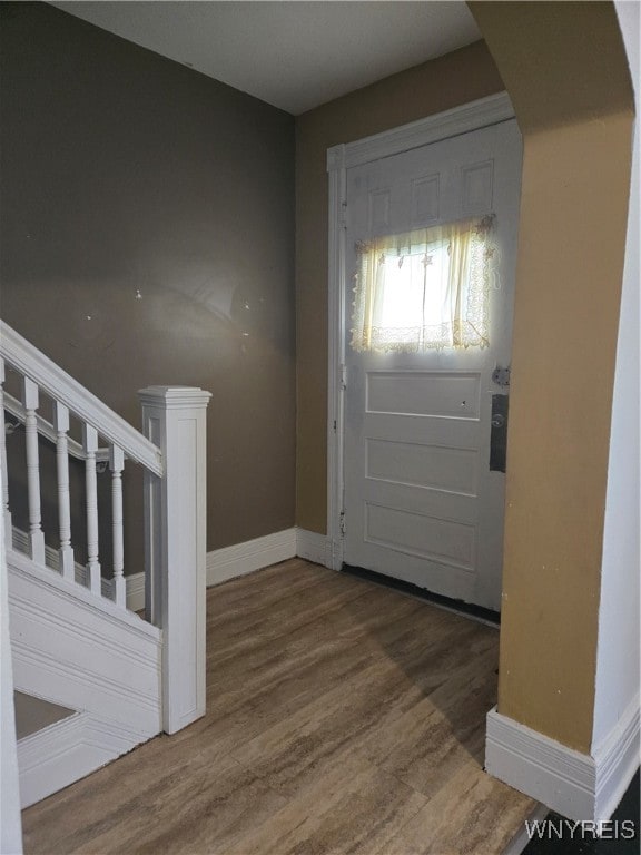 foyer entrance featuring wood-type flooring