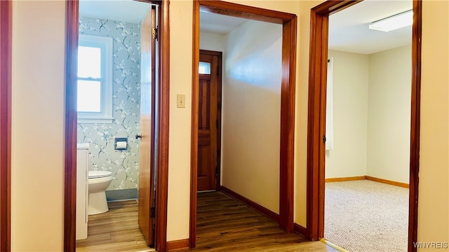 hallway featuring hardwood / wood-style floors