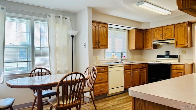 kitchen featuring white appliances, sink, and light hardwood / wood-style flooring