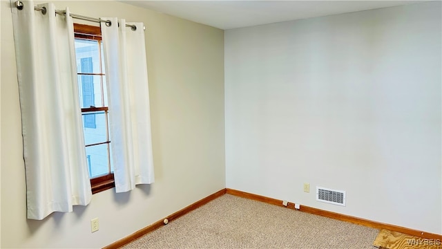 unfurnished room with carpet and a healthy amount of sunlight