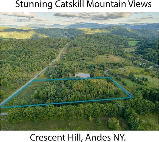 0 Crescent Hill Ln, Andes NY, 13731 land for sale