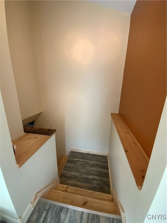 staircase with hardwood / wood-style floors