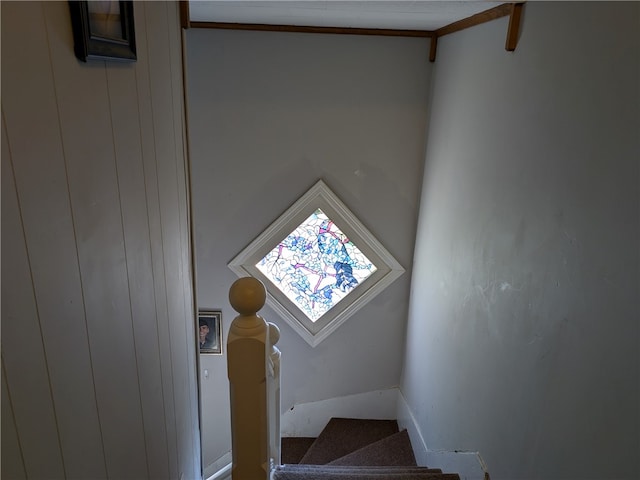 additional living space with wood walls