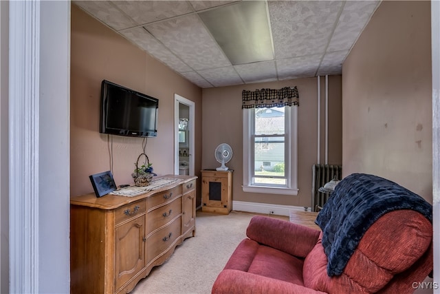 living room with light colored carpet and radiator