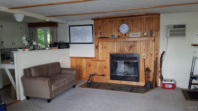 7402 Dewey Point Ln, Diana, NY 13648 - living room with radiator, an AC wall unit, wood walls, a glass covered fireplace, and carpet flooring
