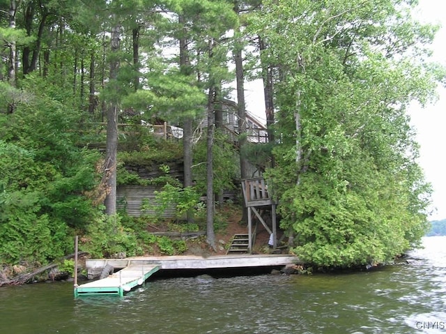 7402 Dewey Point Ln, Diana, NY 13648 - photo 4
