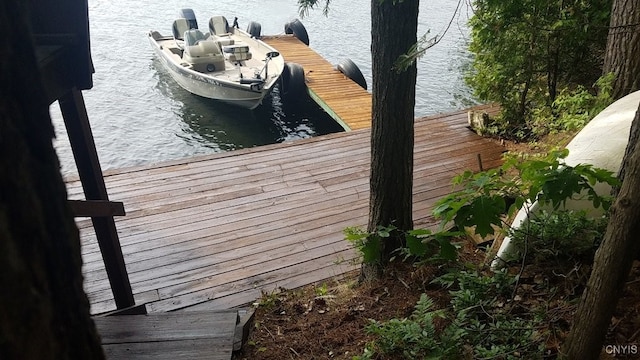 7402 Dewey Point Ln, Diana, NY 13648 - photo 6