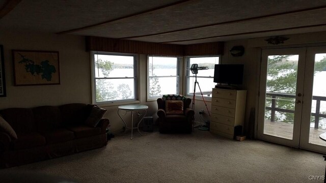 7402 Dewey Point Ln, Diana, NY 13648 - photo 10
