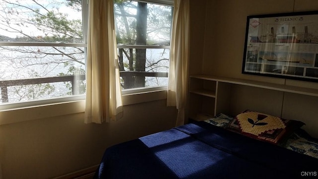 7402 Dewey Point Ln, Diana, NY 13648 - photo 13