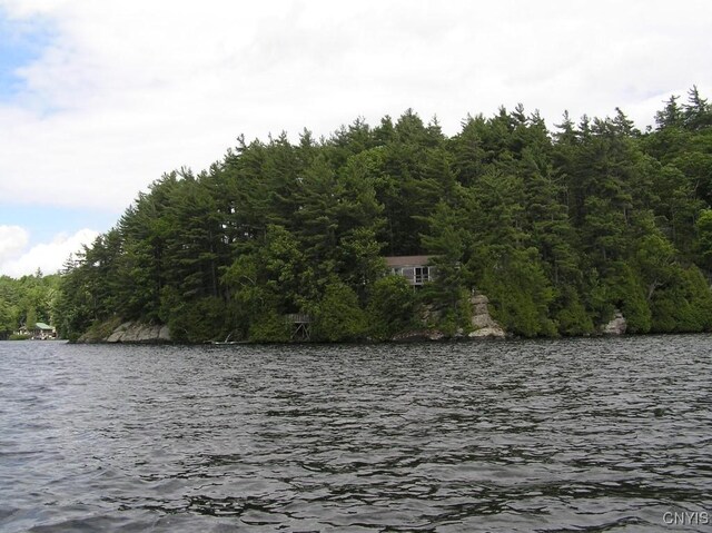 7402 Dewey Point Ln, Diana, NY 13648 - photo 17