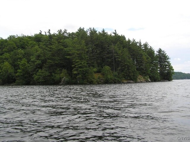 7402 Dewey Point Ln, Diana, NY 13648 - photo 18