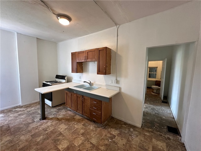 kitchen with white range with gas stovetop and sink