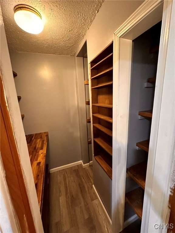 spacious closet with dark wood-type flooring