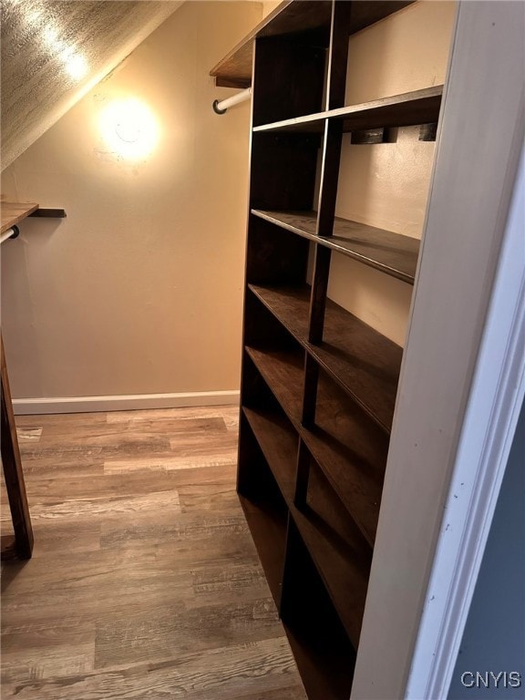 spacious closet with hardwood / wood-style flooring