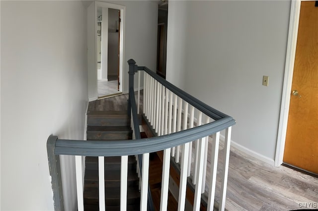 staircase featuring wood-type flooring