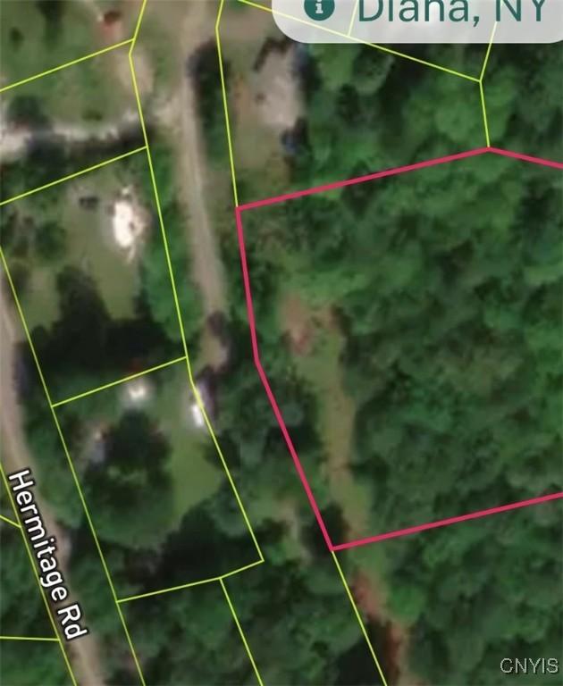 14100 Melanie Ln, Diana, NY 13648