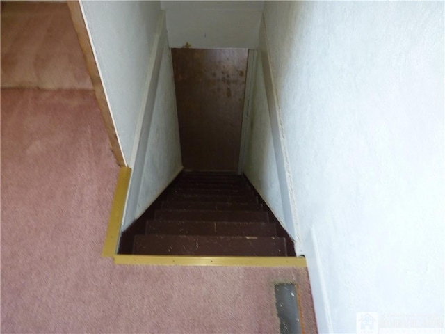 132 Miller St, Sherman, NY 14781 - stairway with carpet flooring