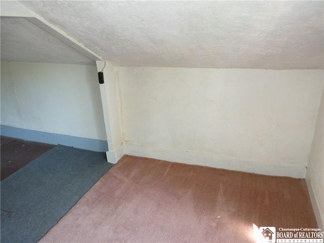 132 Miller St, Sherman, NY 14781 - additional living space with baseboards, a textured ceiling, and carpet
