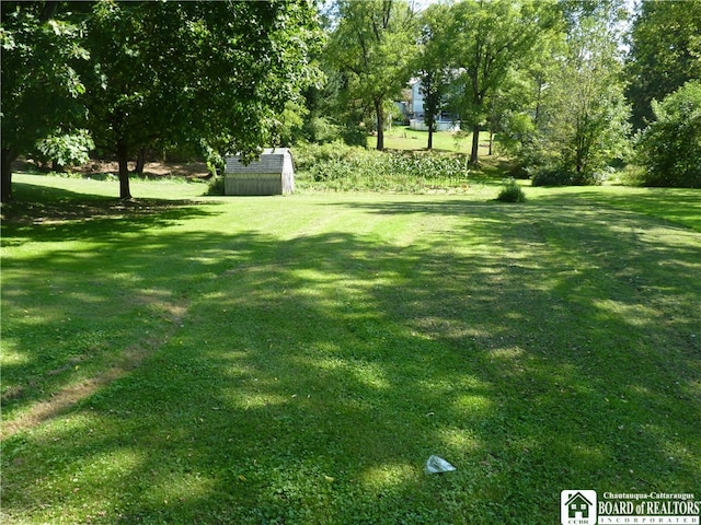 view of yard with a shed