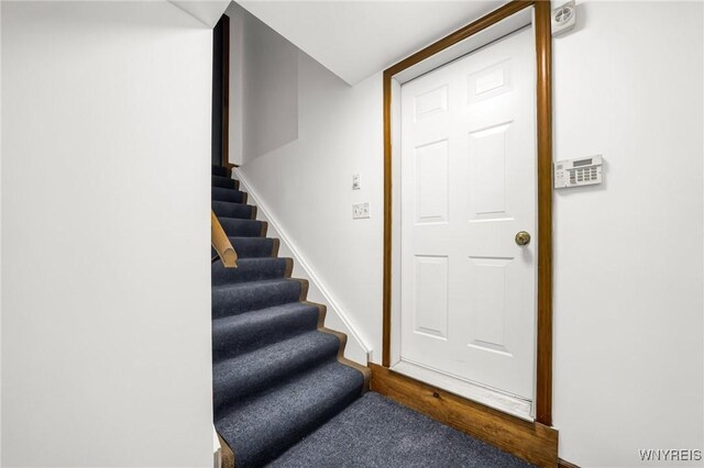 stairway with carpet flooring