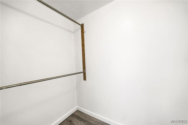 spacious closet with dark wood-type flooring