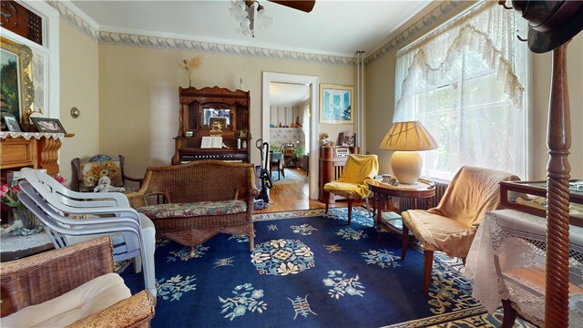 sitting room with ceiling fan, hardwood / wood-style flooring, and ornamental molding